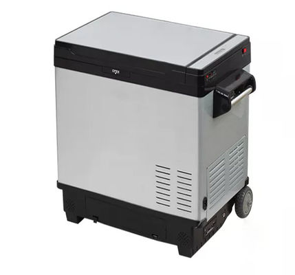 Draagbare compressor zonne-koelkast met een capaciteit van 50 liter en DC12V/24V OF 110V-240V spanning